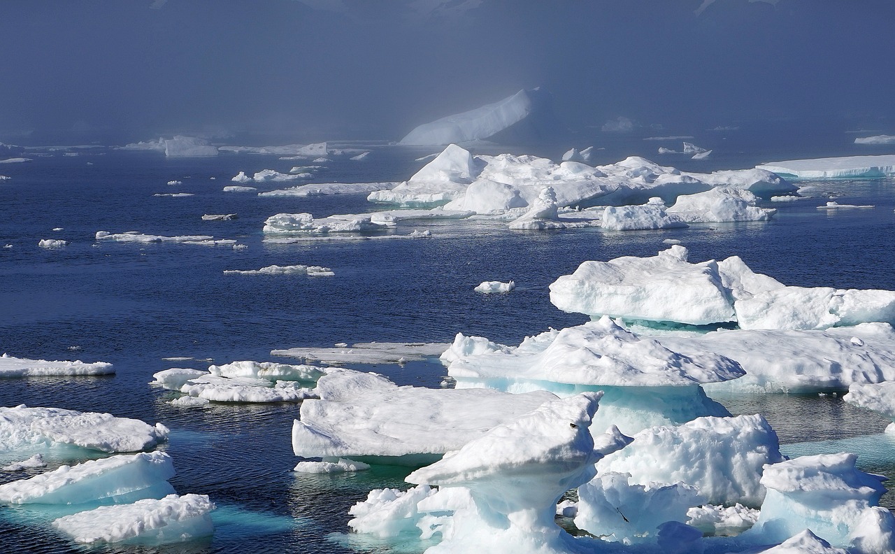 India’s Interest Arctic Region and the Northern Sea Route